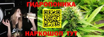 шишки Донецк